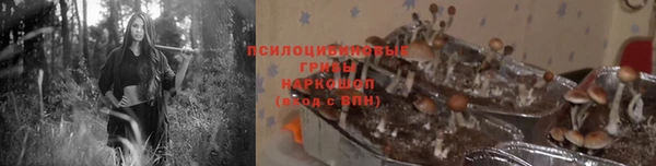 сатива Баксан