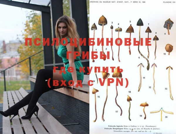 ГАЛЛЮЦИНОГЕННЫЕ ГРИБЫ Балабаново