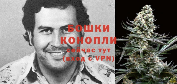 сатива Баксан