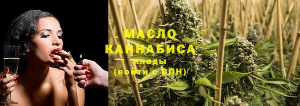 сатива Баксан