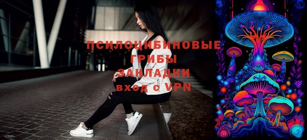 сатива Баксан