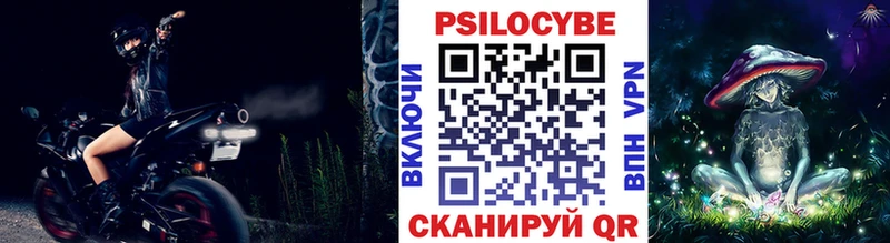 blacksprut ссылка  Бежецк  Псилоцибиновые грибы Psilocybine cubensis 
